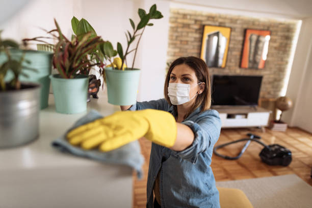 Professional Cleaning
